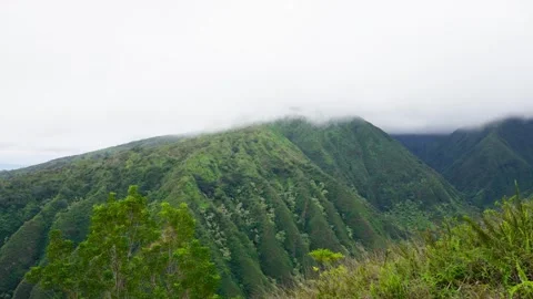 Waihee Ridge View Stock Footage 305124049