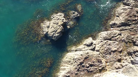 Waiheke Reef 2 Stock Footage 103441567