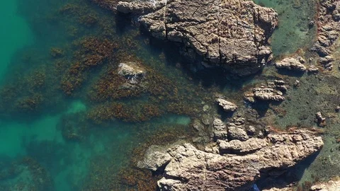 Waiheke Reef 3 Stock Footage 103442256