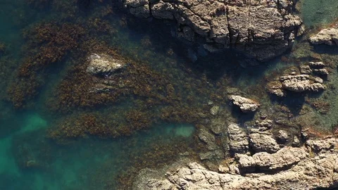 Waiheke Reef 4 Stock Footage 103442365