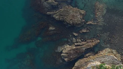 Waiheke Reef 5 Stock Footage 103443173
