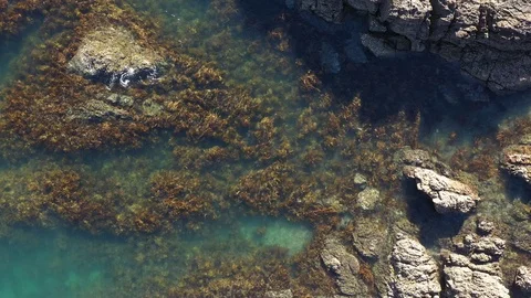 Waiheke Reef 6 Stock Footage 103443916