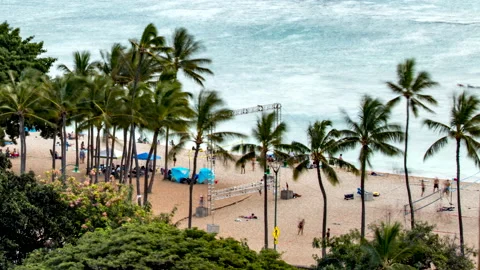 Waikiki Beach Activity Видео 224251627