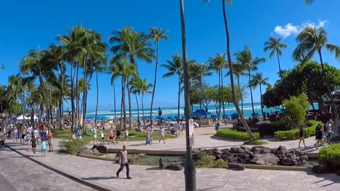 Waikiki Beach Stock Footage 113310163