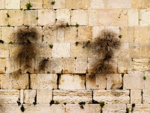 Wailing wall Stock Photos