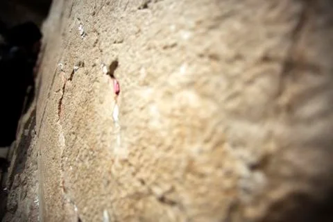 Wailing wall prayers Stock Photos