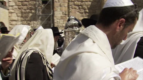 Wailing Wall / Western Wall in Jerusalem, Israel (10) Video stock 280942651