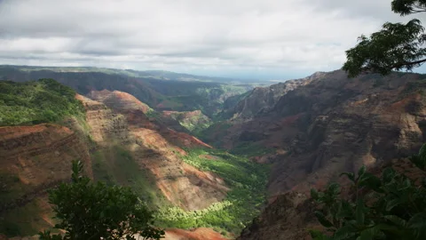 Waimea Canyon Video stock 345283480