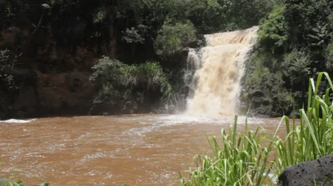 Waimea Falls, Oahu Stock-Footage 68653839