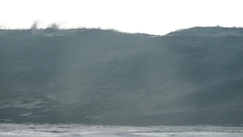 Waimea Giant Waves Stock Footage 100998421