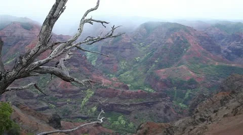 Waimea Kauai, Grand Canyon of the Pacific Stock Footage