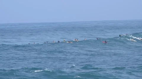 Waimea Party Wave Stock Footage 44066962