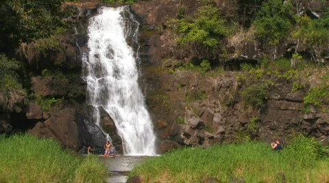 Waimea waterfall hdp Stock-Footage 478442