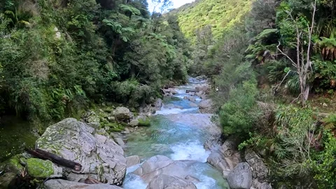 Wainui Falls surrounded by native bush of nikau palms, rata trees and ferns.. Stock Footage 286765659