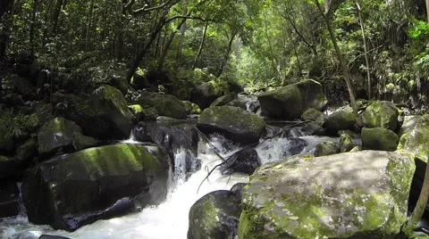 Waipio Valley 3 Stock Footage 40048201