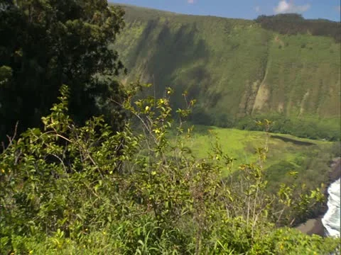 Waipio Valley Video stock 22242892