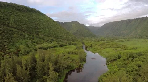 Waipio Valley's River  Stock Footage 51330709
