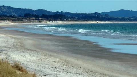 Waipu Beach North Видео 107353950