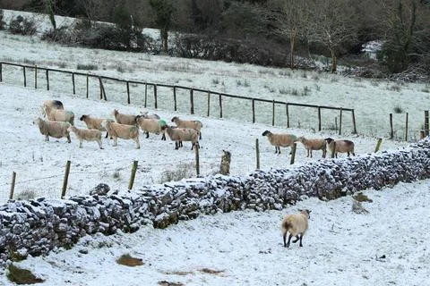 "Wait for me!" Stock Photos