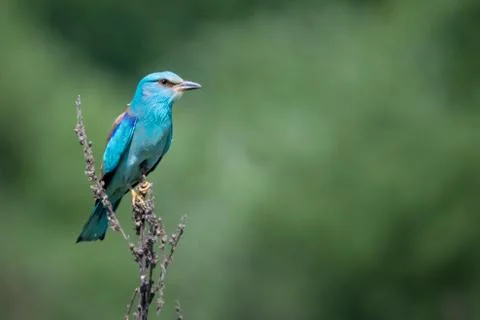 The wait Stock Photos