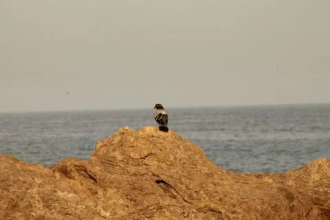 The wait Stock Photos