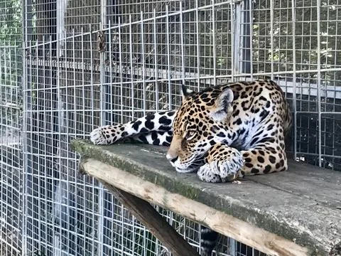 The wait Stock Photos