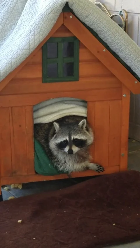 Wait until the end to see how gigantic Stock Video Pond5