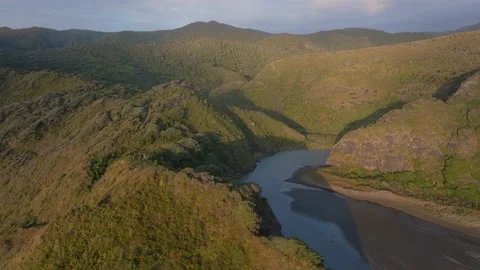 Waitakere ranges and stream, anawhata beach, New Zealand Video stock 223965138