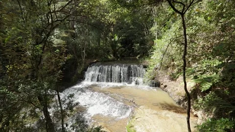 Waitangi Stream Cascade Falls and Omeru Scenic Falls: A Northland Gem on th.. Stock Footage 282692868