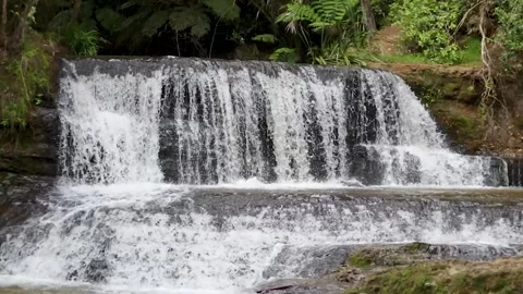 Waitangi Stream Cascade Falls and Omeru Scenic Falls: A Northland Gem on th.. Stock-Footage 282692890