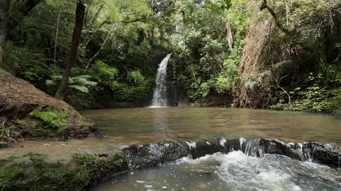 Waitangi Stream Cascade Falls and Omeru Scenic Falls: A Northland Gem on th.. Stock Footage 282692918