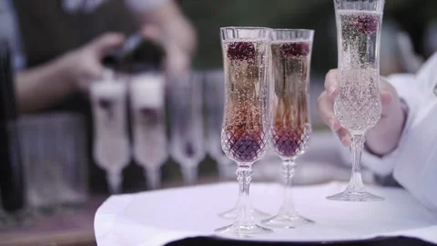 Waiter with champagne on a tray Stock Footage 220115218