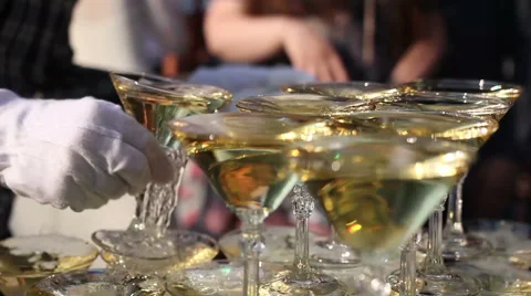 Waiter Giving The Champagne 動画素材 59663202