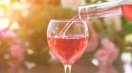 Waiter Pouring A Glass Of Cold Rose Wine, Green Garden Background Stock Footage