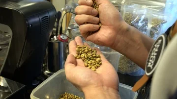 A waiter selecting coffee beans at a coffee bar in Beijing Stock Footage 85665944