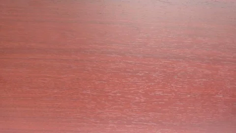Waiter serves coffee Stock Footage 76023227