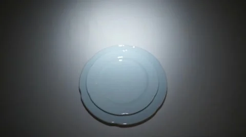 Waiter Setting Formal Dinner Table Stock Footage 55551604