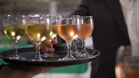 Waiter with Wine Видео 104047661