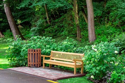 Waiting area on the side of the road in the forest with a wooden bench. Stock Photos