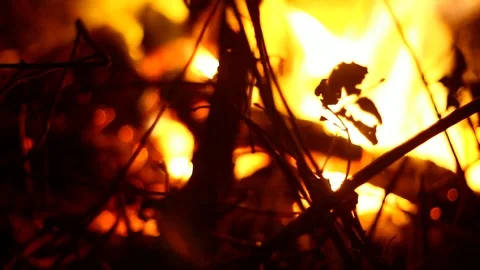 Waiting to burn 2 Video stock 102774455