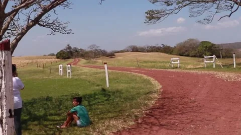 Waiting for bus on farm Video stock 49303723