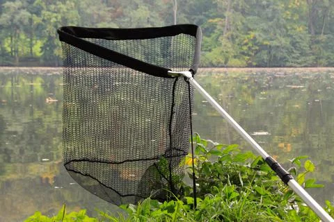Waiting for the fish Stock Photos