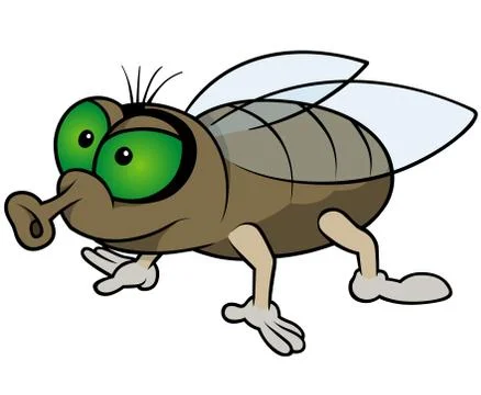 Waiting Fly Stock Illustration