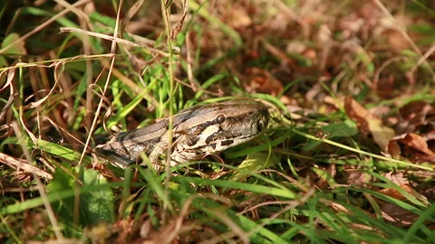 Waiting Stock Footage 139871613