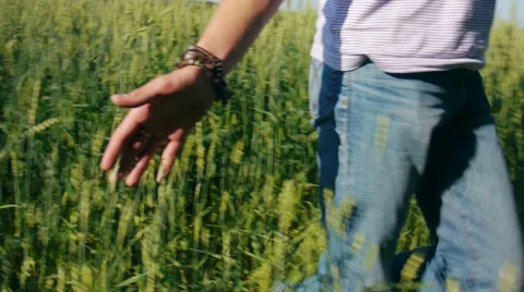 Waiting harvest Stock-Footage 11428301