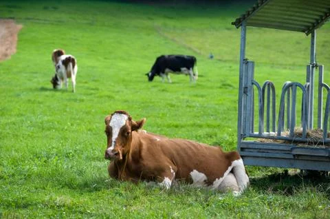 Waiting Stock Photos