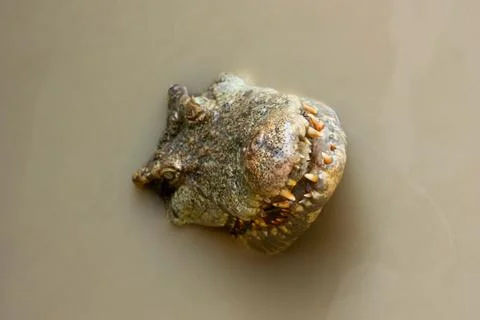 Waiting Stock Photos