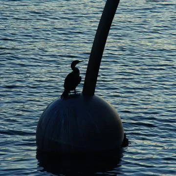 Waiting Stock Photos