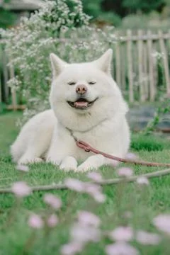 Waiting Stock Photos