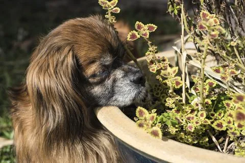 Waiting Stock Photos